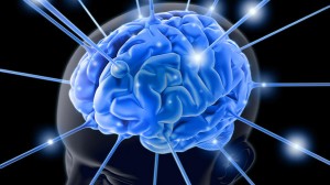 cerebro-inteligencia-20120801-01-size-598