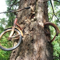bicicleta incrustada