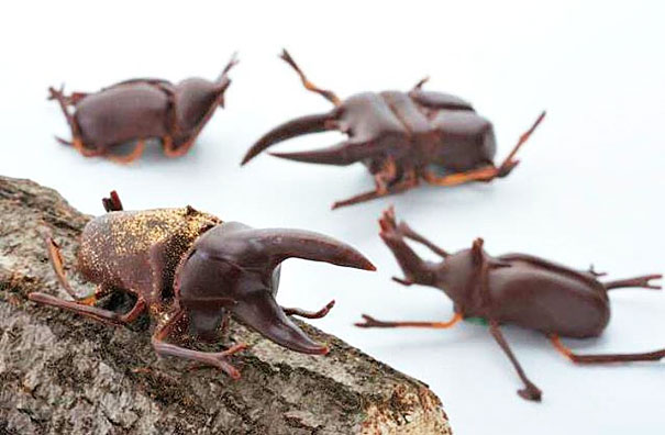 escarabajos de chocolate