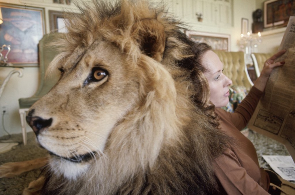 Hedren & Neil The Lion