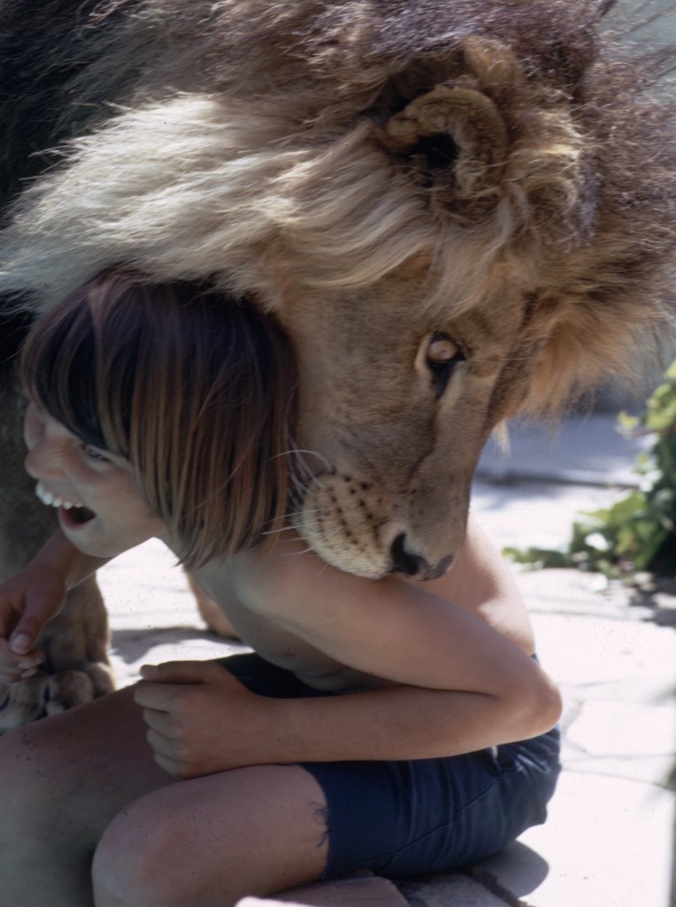 Neil The Lion & Child