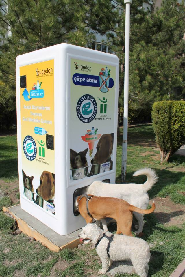 Un punto de reciclaje alimentando a varios canes