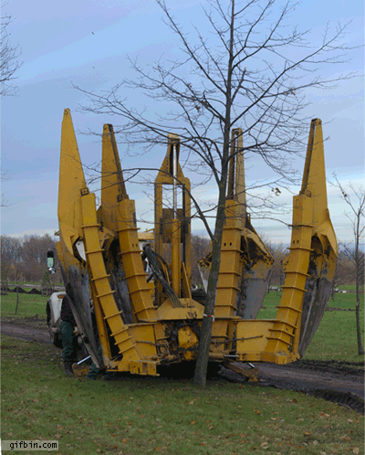 maquina extractora de árboles
