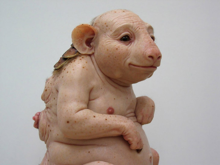 20808_patricia_piccinini_northern_hairynosed_wombat