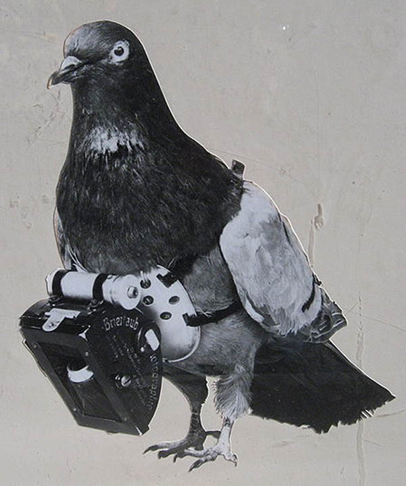 Las palomas, los drones de la Primera Guerra Mundial ¡No sabes nada!