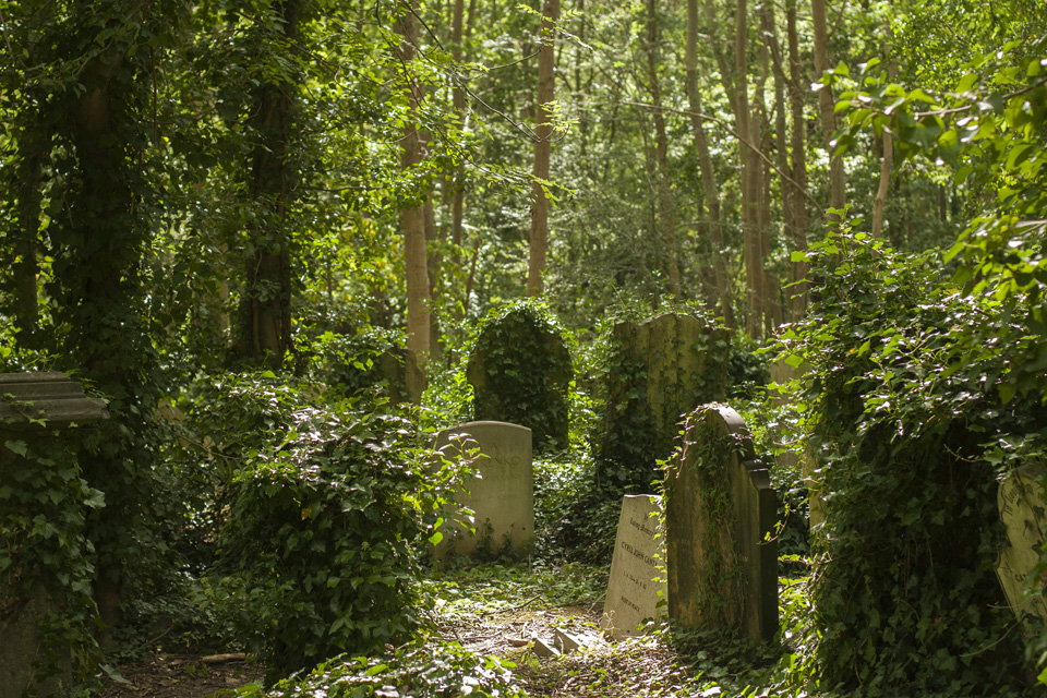 13_highgate-cemetery-overgrown-graves