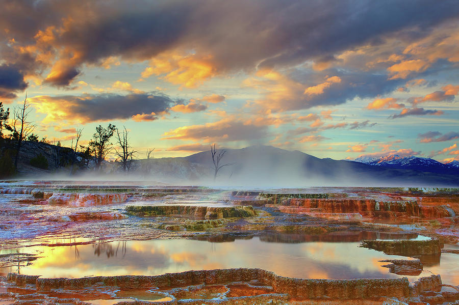 yellowstone-national-park-mammoth-hot-springs-kevin-mcneal