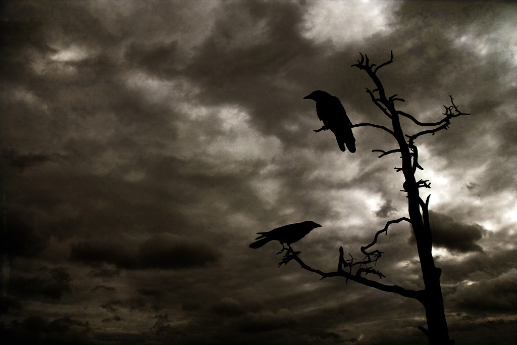 Odin_Ravens_by_grassel