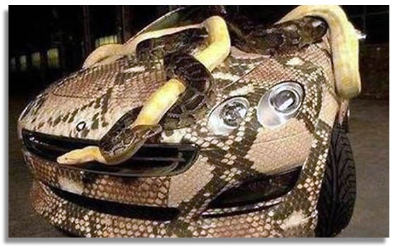 coche-cubierto-serpiente