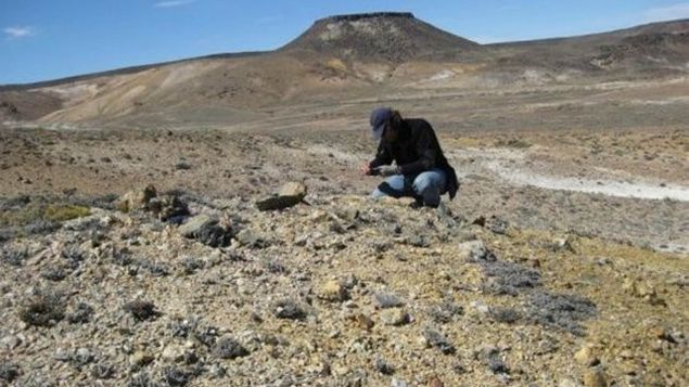 Yacimiento-fosiles-jurasicos-Patagonia-argentina_MEDIMA20160227_0093_5