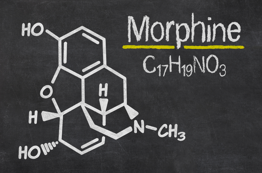 La morfina funciona mediante la unión a los receptores de opáceos en el sistema nervioso central, aunque todavía no se sabe si W-18 funciona de la misma manera. Zerbor | Shutterstock