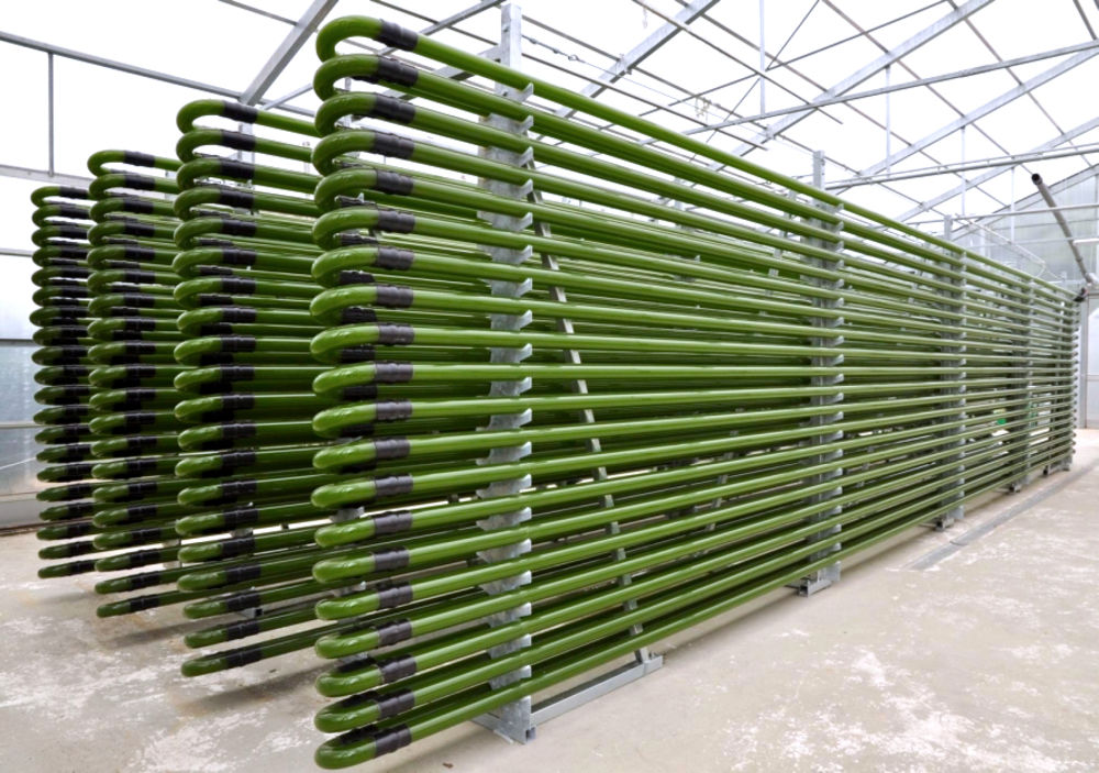 algae-bioreactors