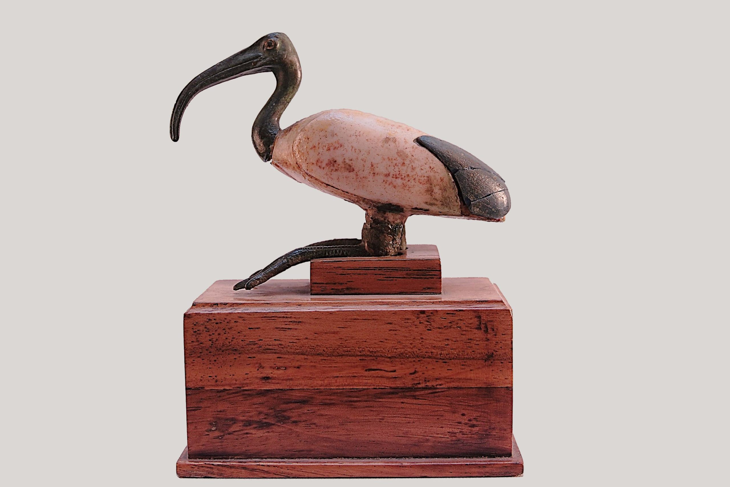Los adoraban, pero... los egipcios sacrificaron millones de ibis.