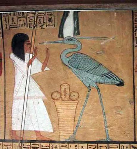 Los egipcios adoraban muchos animales. Así que los momificaron.