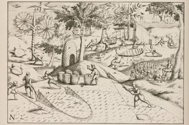 La llegada de la expedición del almirante Jacob Cornelissoon van Neck (c 1564-1638) que llegó a Mauricio en 1598 fue el principio del fin para el dodo.