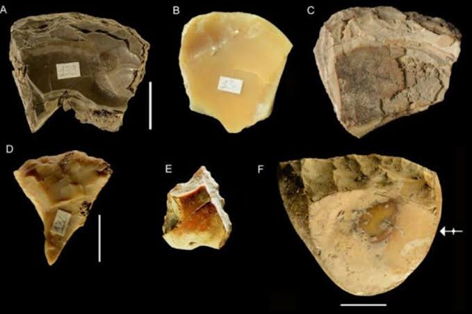 Los primeros buzos, los neandertales, usaron herramientas a partir de lo que recogían del lecho marino.
