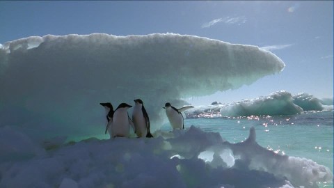 En los últimos meses se detectó la temperatura más alta registrada en la Antártida.