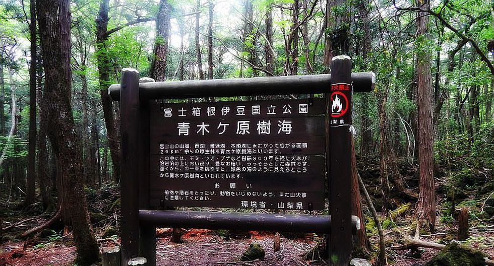 Letrero en el bosque de los suicidas que trata de disuadir a quienes buscan la muerte.