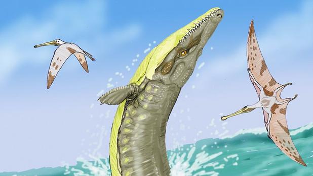 Los cocodrilos navegaban en el mar hace millones de años.