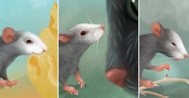 Los ratones tienen expresiones faciales emocionales. ¿No es increíble?