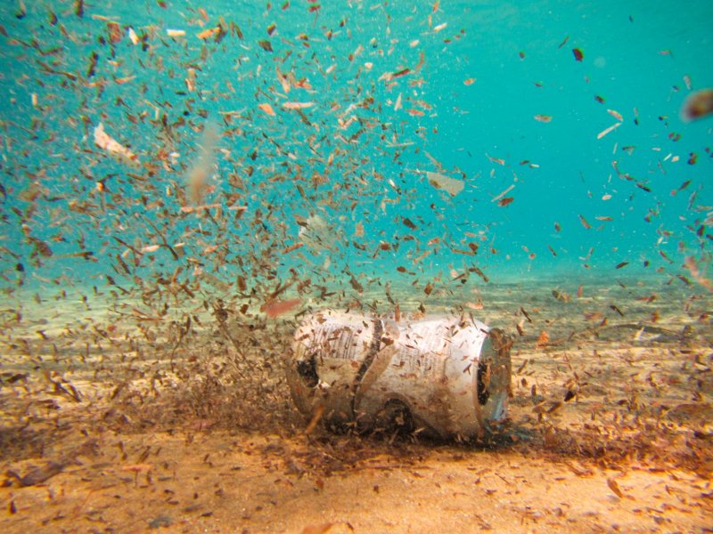 Los microplásticos son una amenaza para los ecosistemas marinos.