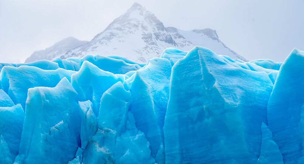 Uno de sus rasgos sorprendentes es que pueden vivir decenas de miles de años bajo el hielo.