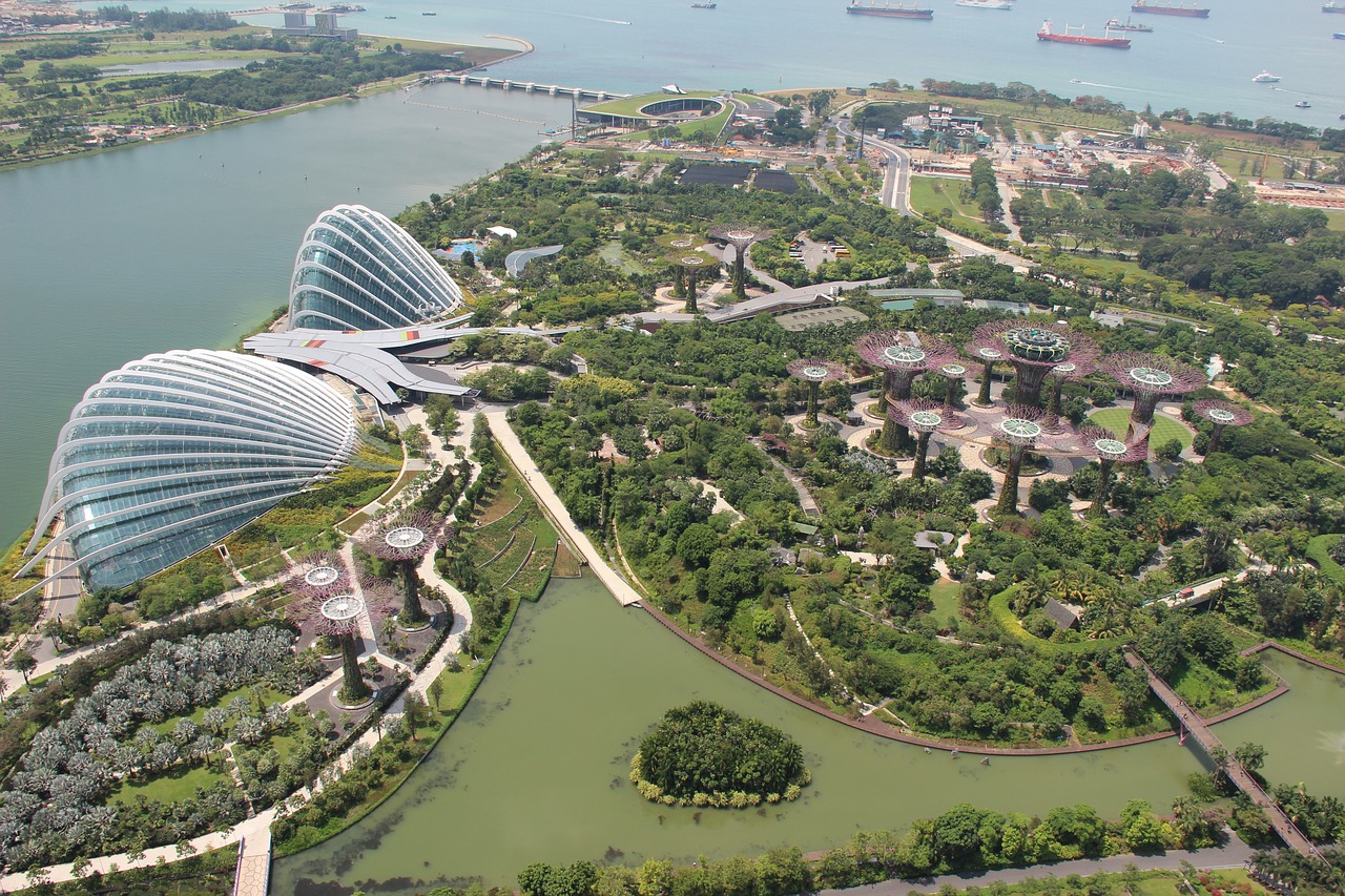 Arboles urbanos en Singapur