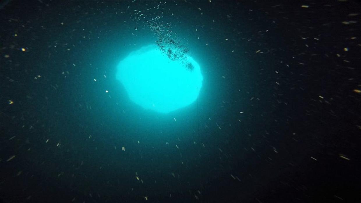 Esta es una vista desde el interior del agujero azul de Amberjack, en la Costa de Florida.