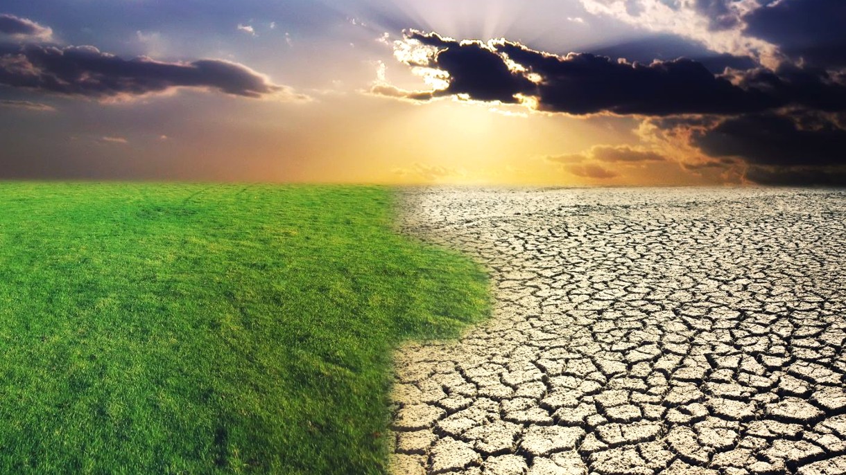 Cuando el Sahara era verde, una mega sequía lo convirtió en un desierto y propició cambios en la civilización.