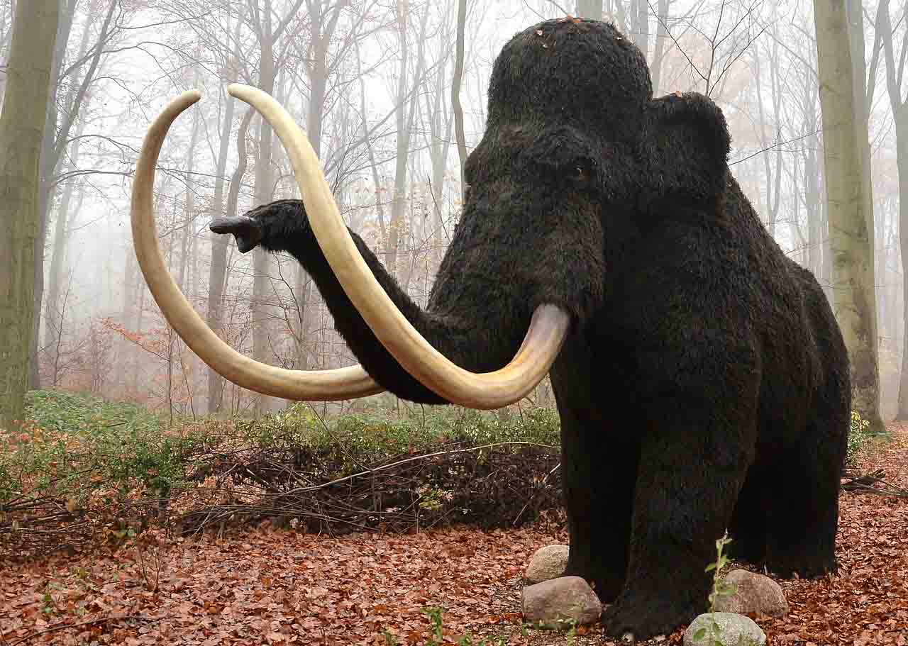 animales extintos-mamut