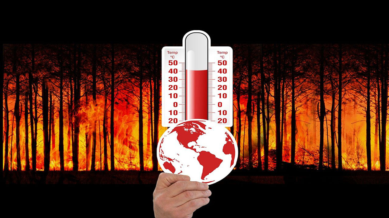 incendios forestales por el cambio climático