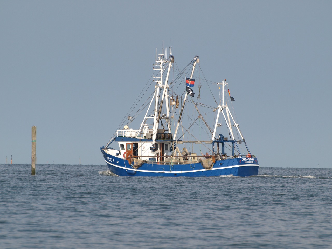 pesca indiscriminada en océanos y mares