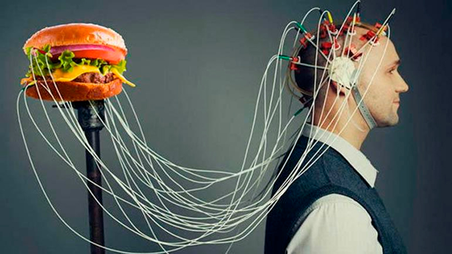 El cerebro recuerda la comida chatarra, y la prefiere, gracias a una conducta ancestral