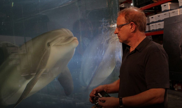 El fin de los delfines en cautiverio podría estar más cerca gracias a un avanzado robot muy realista.