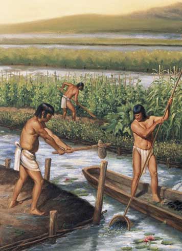 La cultura maya desarrolló una importante tecnología de manejo del agua.