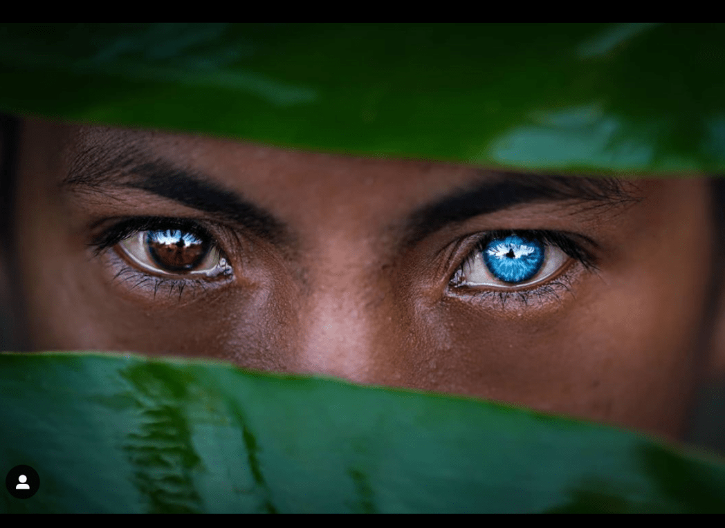 La tribu de los ojos azules le debe esto a una rara mutación genética.