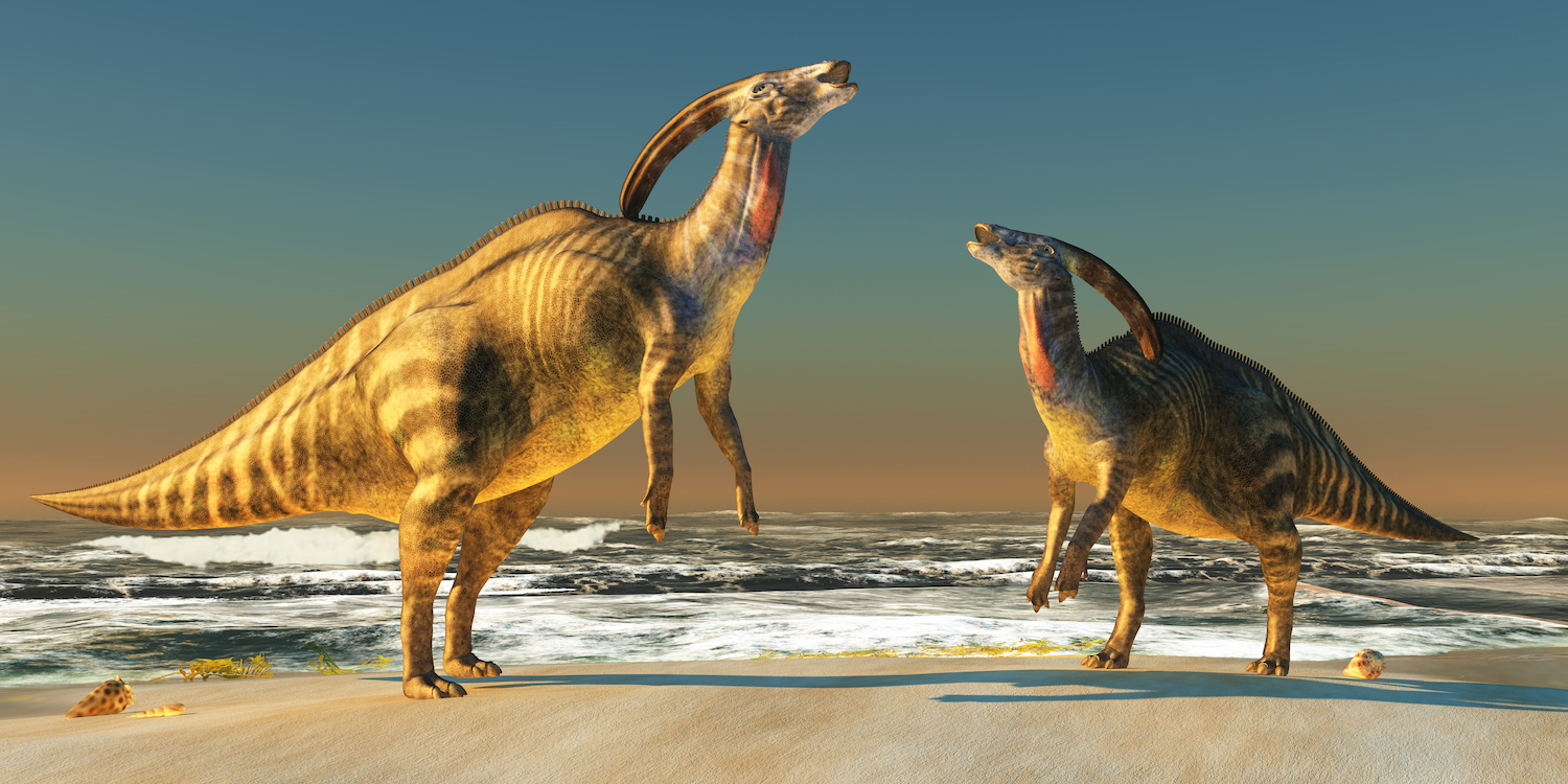Los dinosaurios que cruzaron el mar. Fotogénicos
