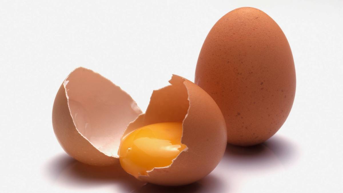 Las magníficas propiedades del huevo tienen que ver con su composición y su estructura.