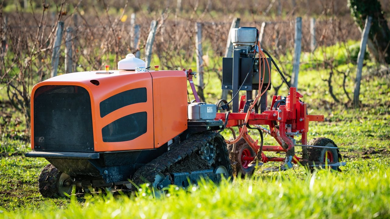 El robot láser que reemplazará los pesticidas se llama Welaser.