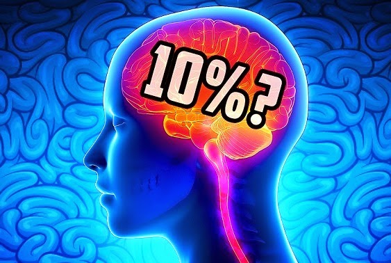 ¿Es cierto que solo usamos el 10% del cerebro?