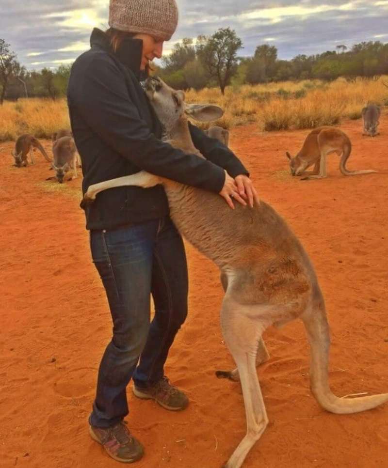 Los canguros se comunican como los perros, estableciendo conexión con los humanos.