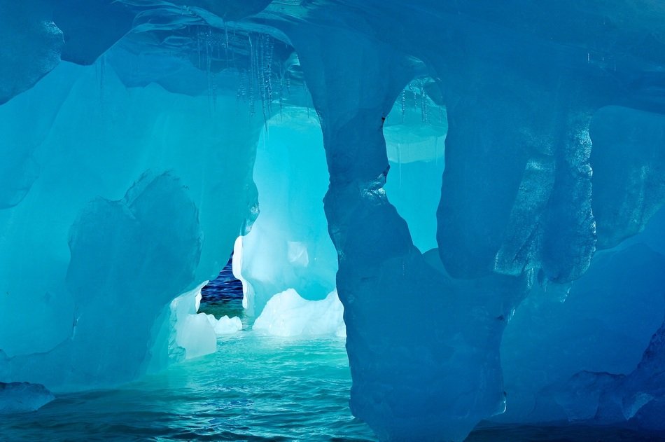 Criaturas desconocidas 900 metros bajo el hielo impresionan a los biólogos.