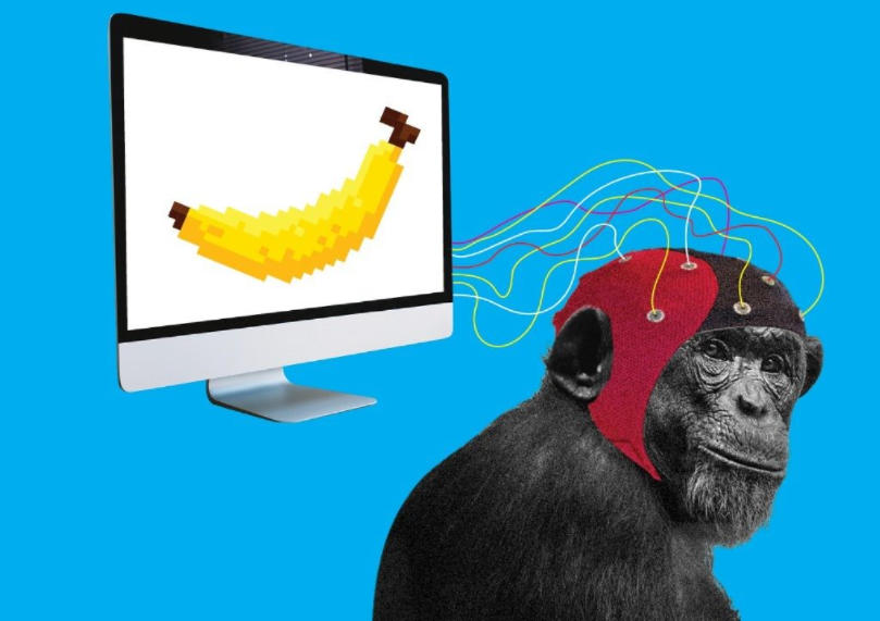 El mono que puede jugar videojuegos, otro proyecto del polémico Tesla.