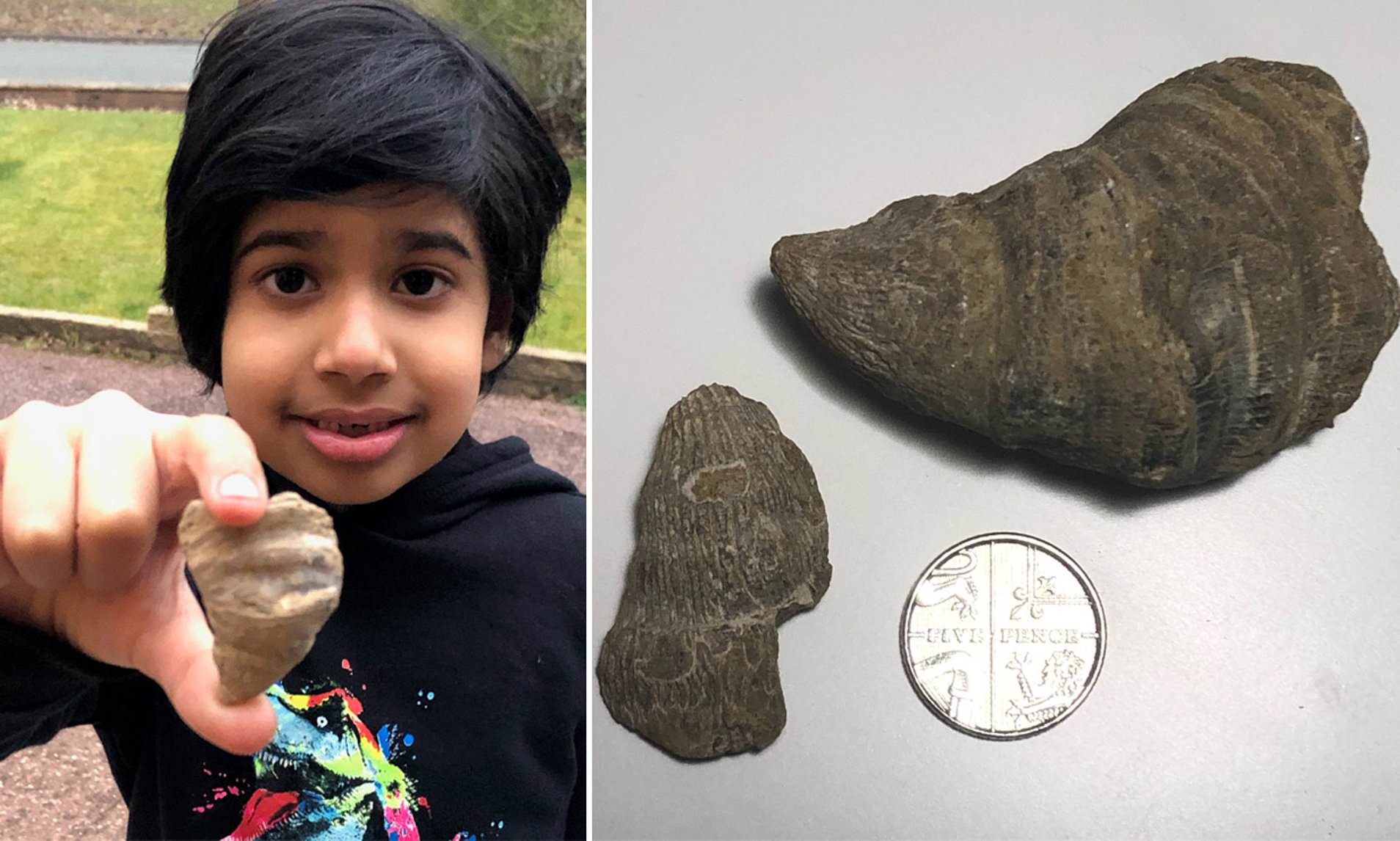 El niño que halló un fósil en su jardín exhibe orgulloso su descubrimiento.