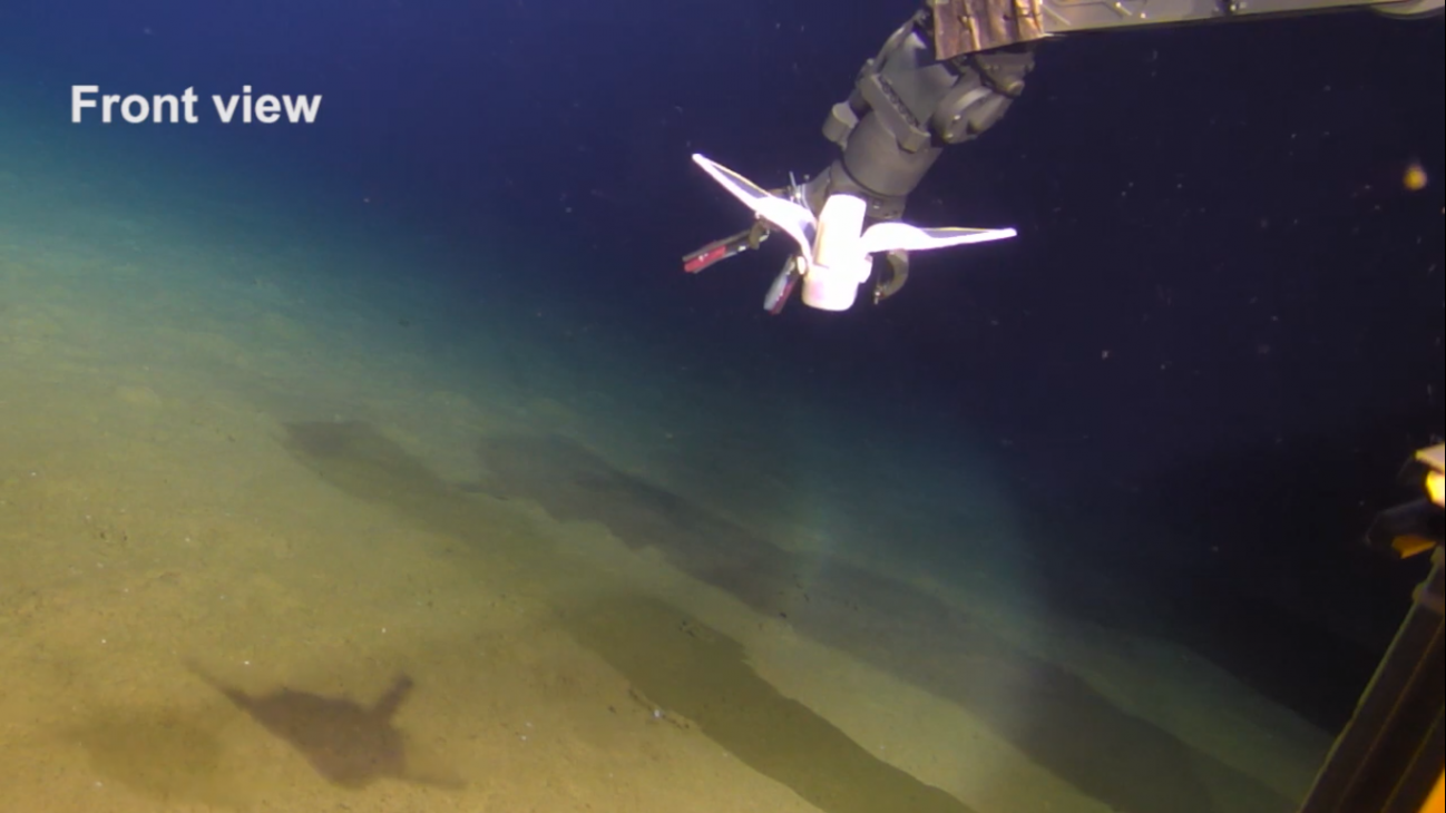 El pez robot en la fosa de las Marianas logró nadar sin problemas en el fondo marino.
