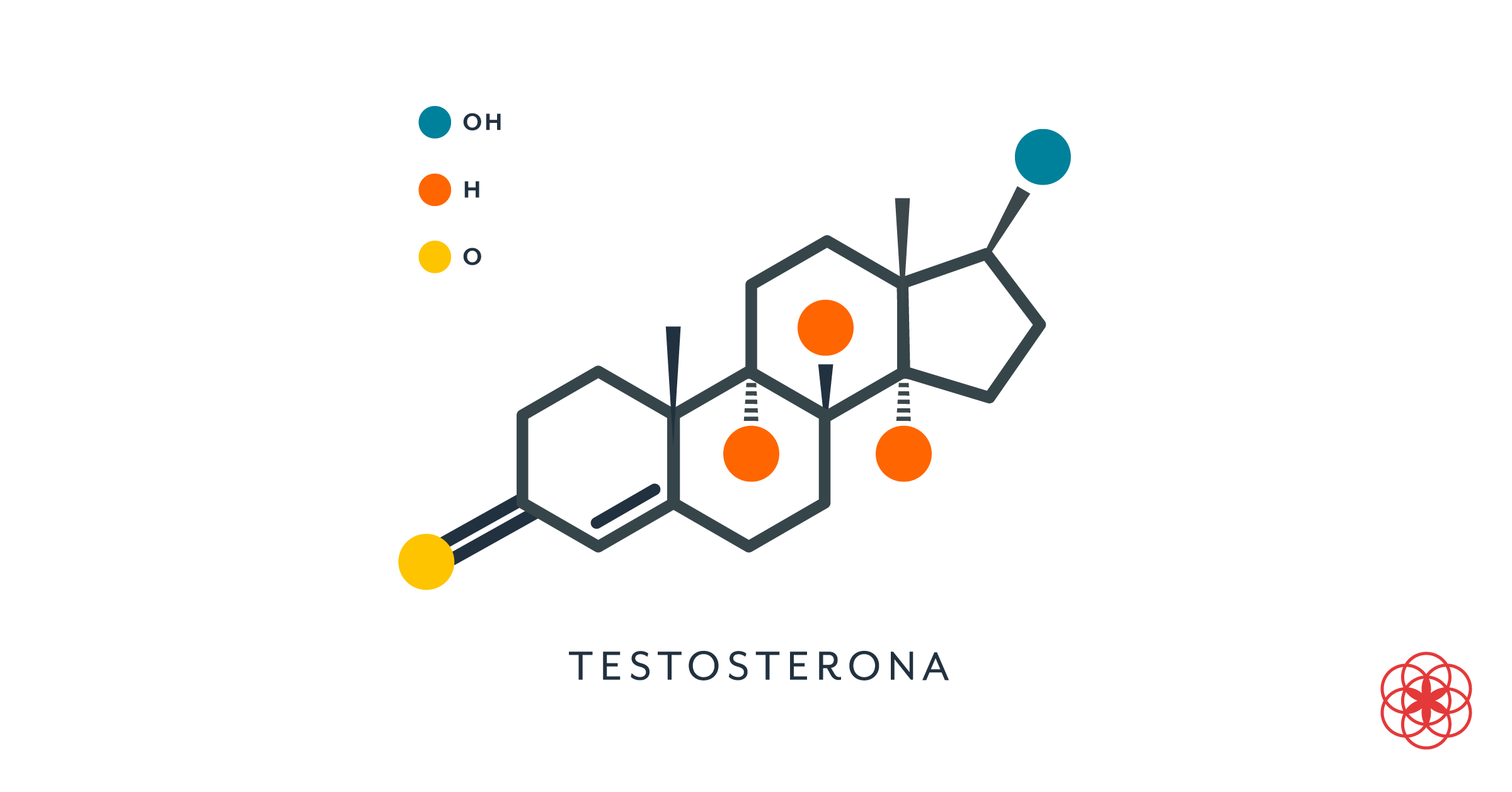 La testosterona es parte de diversos tratamientos, entre ellos, mejorar la masa muscular.
