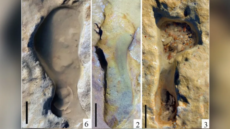 Las huellas de niños neandertales en la arena se fosilizaron.