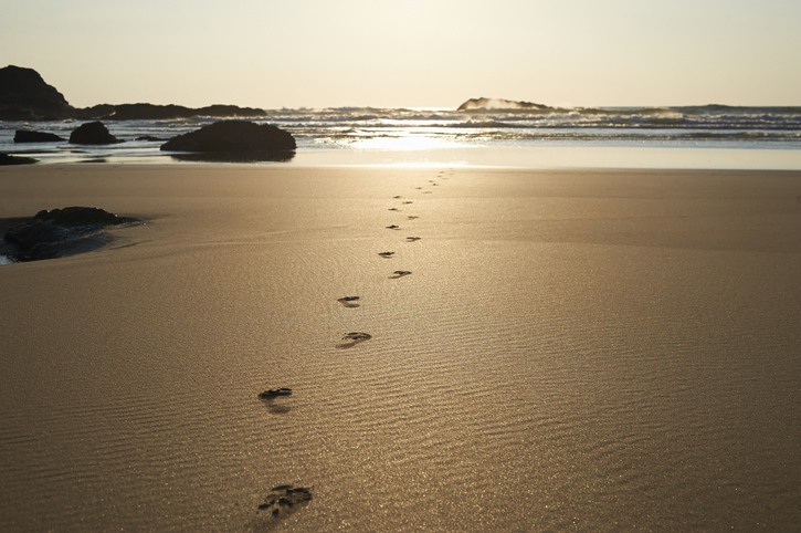 Los niños caminaron en la arena sin sospechar que sus huellas durarían 100 mil años.