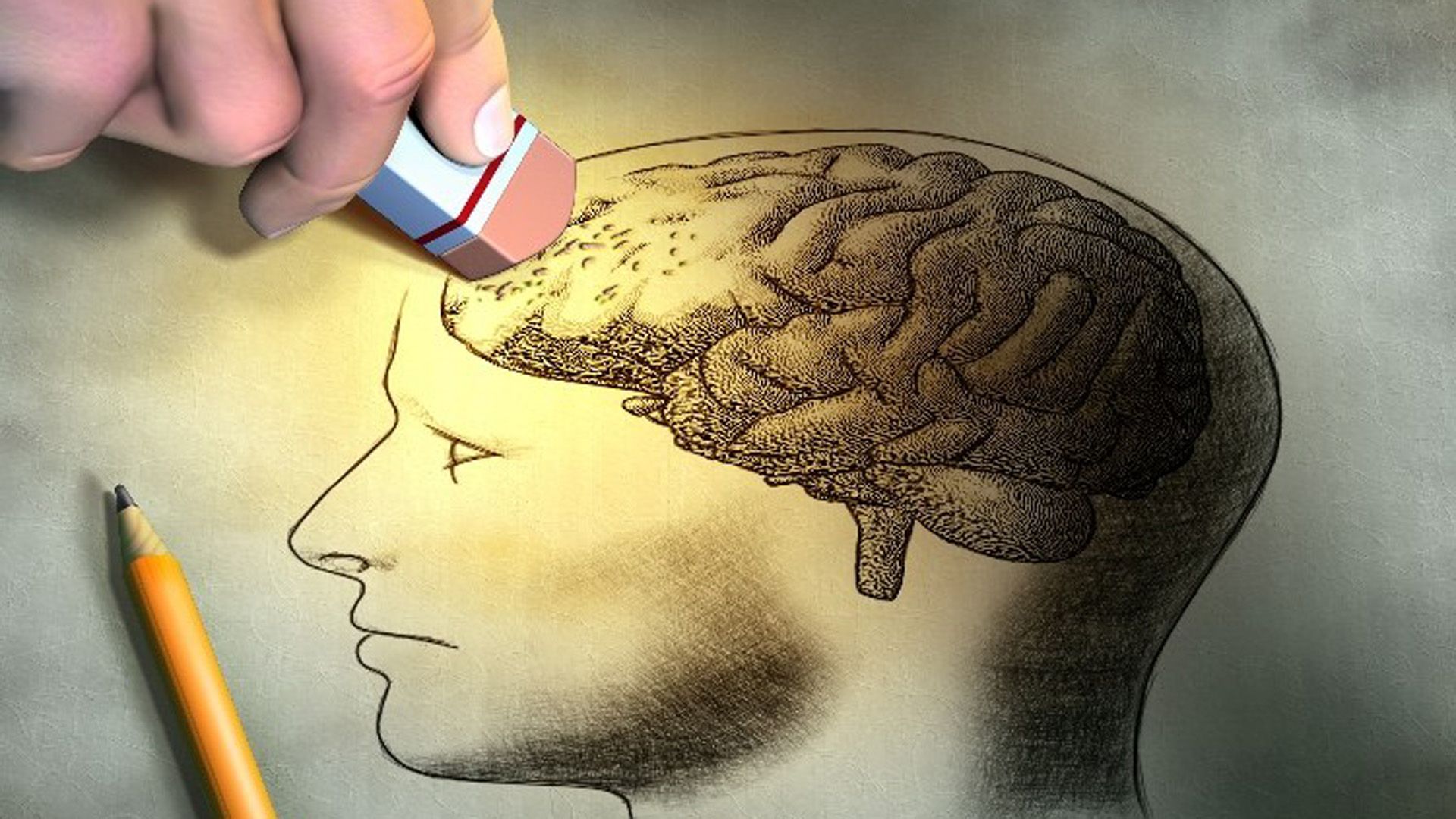 ¿Se pueden borrar los recuerdos realmente? La ciencia avanza en el camino de eliminar experiencias de trauma en los recuerdos.