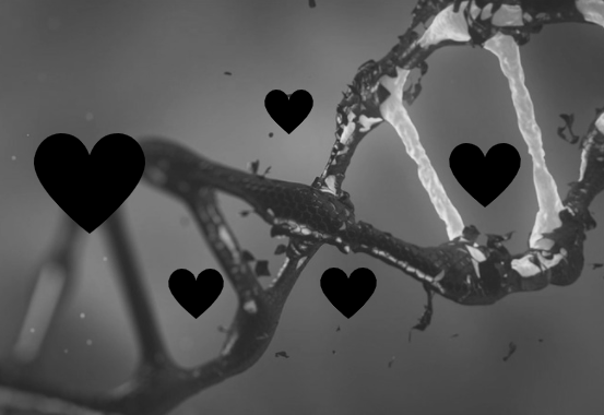 El ADN influye en tus decisiones amorosas. Eso explica todo. ¿O no?